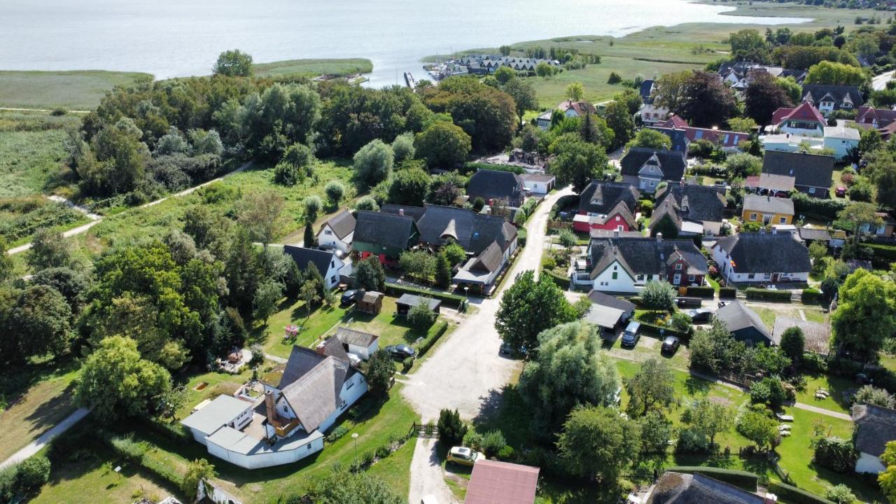 Toepferweg 06 Ferienwohnung Tine Ahrenshoop Zewnętrze zdjęcie
